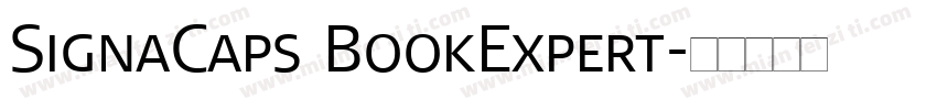 SignaCaps BookExpert字体转换